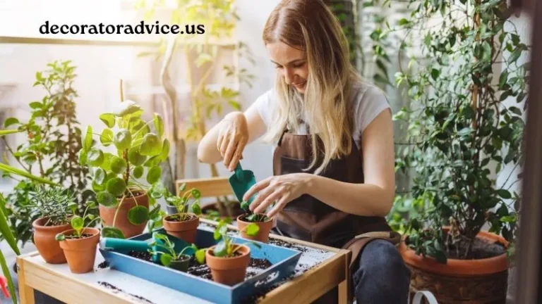 Essential Decoradyard Garden Tips by DecoratorAdvice