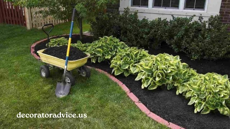 Start with a Garden Plan