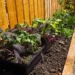 How to Improve Soil Quality: Gardening Tips for Every Backyard
