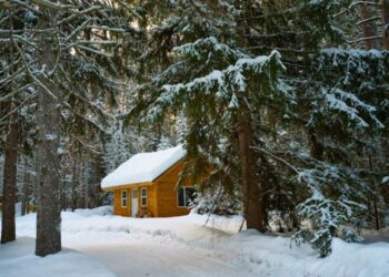 Things Homeowners Often Forget to Check Before Winter Settles In
