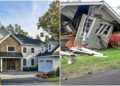 Framework vs brick: Why Americans build ‘cardboard’ houses and how they withstand hurricanes