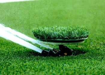 What to Do When Your Lawn Isn’t Getting Enough Water