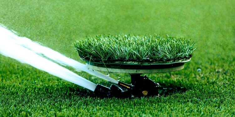 What to Do When Your Lawn Isn’t Getting Enough Water