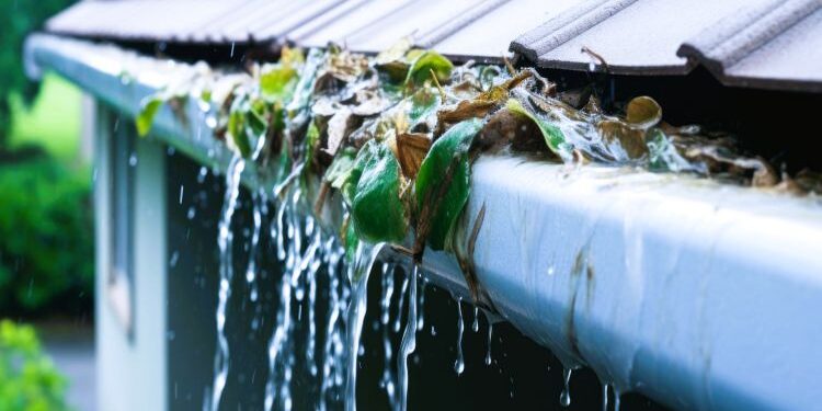 The Most Common Gutter Problems on Southern Ontario Homes and How to Catch Them Early