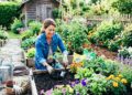 Why More Homeowners Are Choosing Locally Grown Plants for Their Landscapes