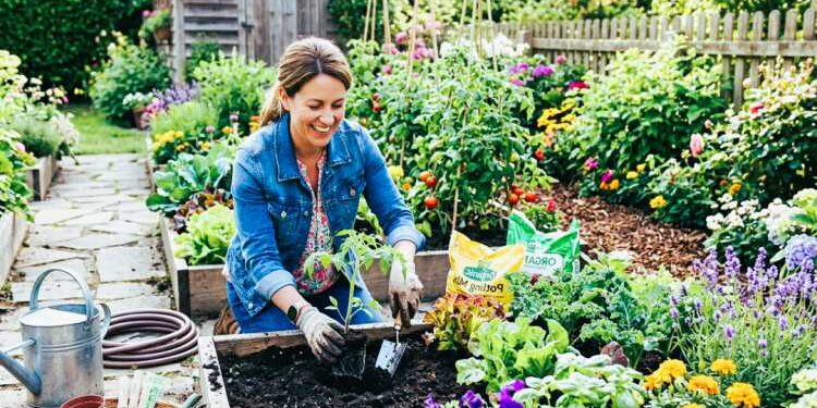 Why More Homeowners Are Choosing Locally Grown Plants for Their Landscapes