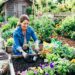 Why More Homeowners Are Choosing Locally Grown Plants for Their Landscapes